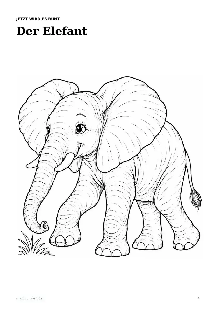 Malvorlage: junger afrikanischer Elefant